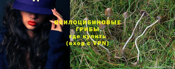 каннабис Арсеньев
