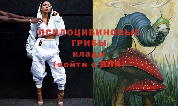 каннабис Арсеньев